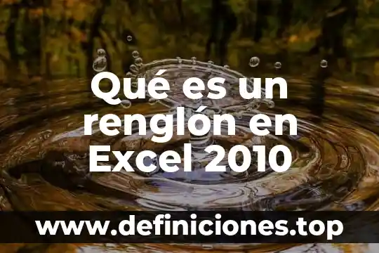 Qué es un renglón en Excel 2010