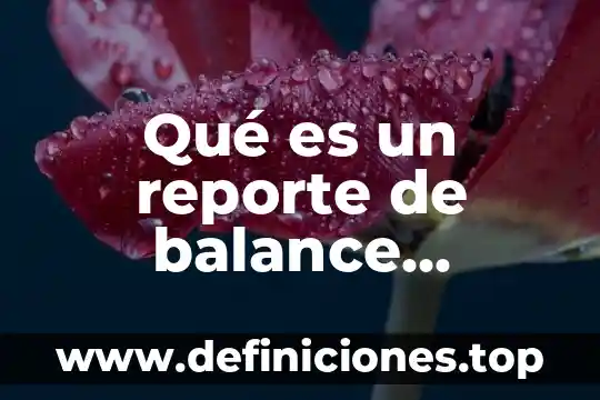 Qué es un reporte de balance general
