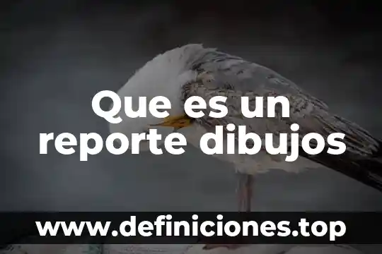 Que es un reporte dibujos
