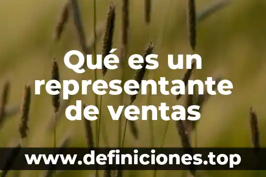 Qué es un representante de ventas