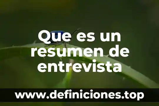 Qué es la entrevista y sus partes y características 6 Que es un resumen de entrevista