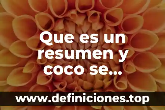 Que es un resumen y coco se elabora