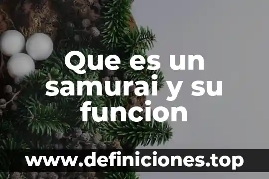 Qué es la amplitud de una función trigonométrica 4 Que es un samurai y su funcion