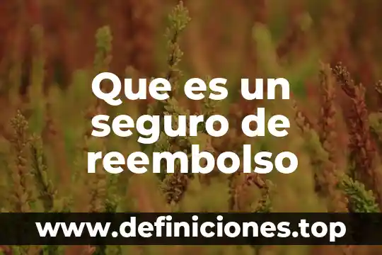 Gap que es en el seguro 8 Que es un seguro de reembolso