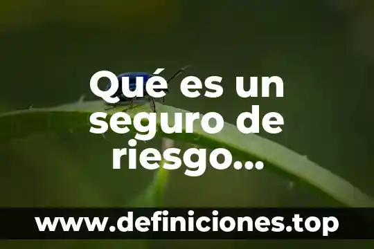 Qué es un seguro de riesgo financiero en Panamá
