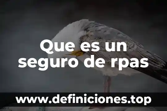 Que es un seguro de rpas