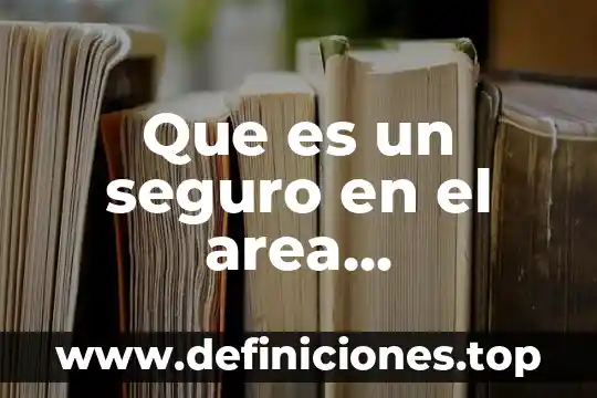 Que es un seguro en el area informatica