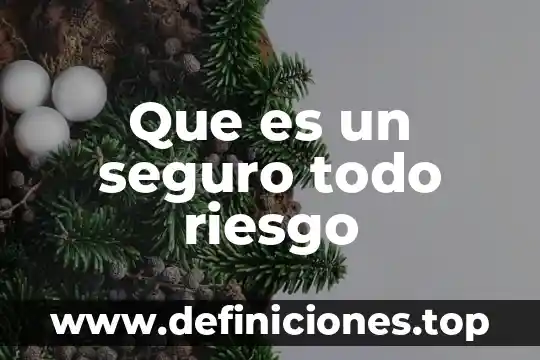 Que significa todo lo que es de buen nombre 3 Que es un seguro todo riesgo