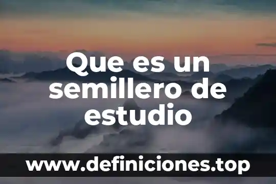 Qué es el nombre del documento en Paint 6 Que es un semillero de estudio