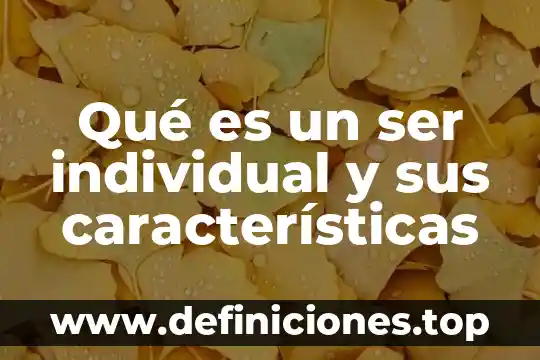 Qué es responsabilidad social e individual 8 Qué es un ser individual y sus características