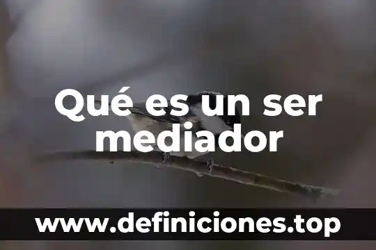 Que es ser una sociologa 3 Qué es un ser mediador