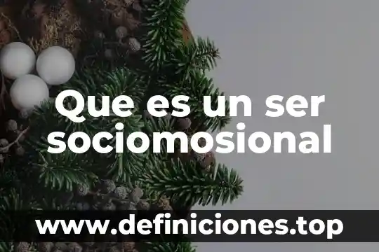 Que es un ser sociomosional