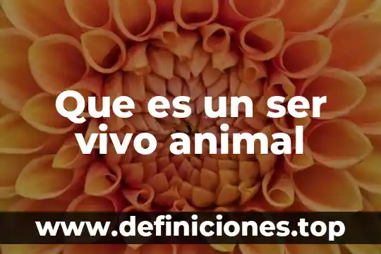 Qué es cámara sistema 8 Que es un ser vivo animal