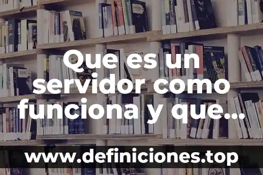 Sistema nervioso que es y como funciona que lo conformado 8 Que es un servidor como funciona y que tipos