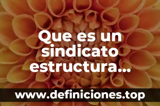 Qué es la estructura de la norma QS 9000 7 Que es un sindicato estructura social