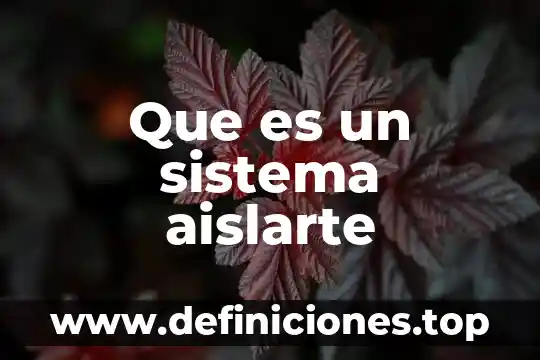 El sistema digestivo que es 3 Que es un sistema aislarte