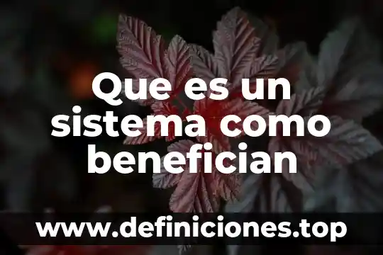 Que es el sistema de cultivo temporal 7 Que es un sistema como benefician