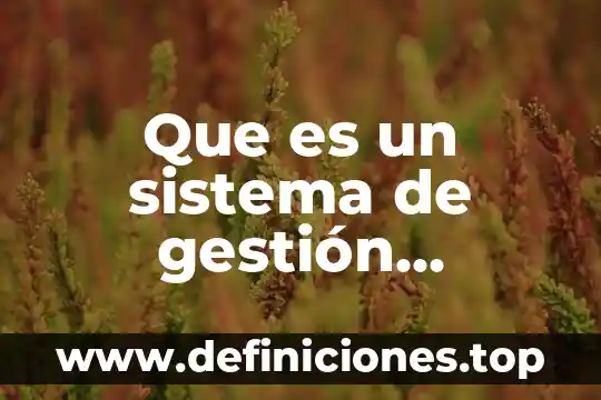 Que es plan de ahorro y eficiencia energética 5 Que es un sistema de gestión energetica