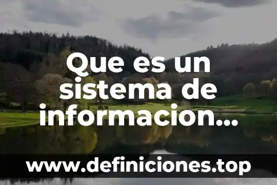 Que es una afluente en el sistema circulatorio humano 6 Que es un sistema de informacion computacional