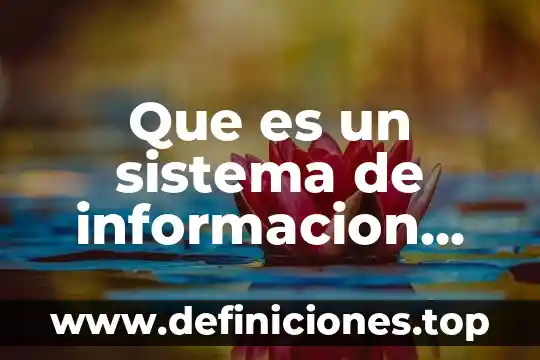 Qué es la duda en filosofía ejemplos 3 Que es un sistema de informacion ejemplos