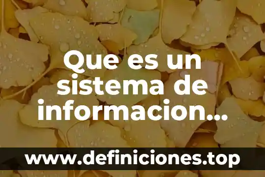Que es el programa estrategico comercial dentro de la mercadotecnia 3 Que es un sistema de informacion estrategico unam