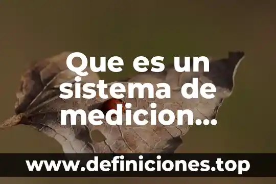 Que es un sistema de medicion ejemplos