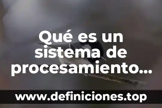 Qué es un sistema de procesamiento de transacciones