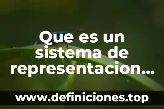 Que es un sistema de representacion pnl