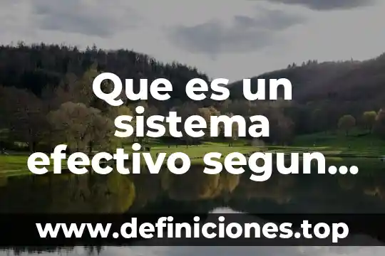 Que es un sistema efectivo segun autores