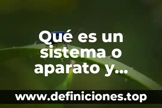 Qué es la vida útil de un aparato electrónico 6 Qué es un sistema o aparato y cómo se forman