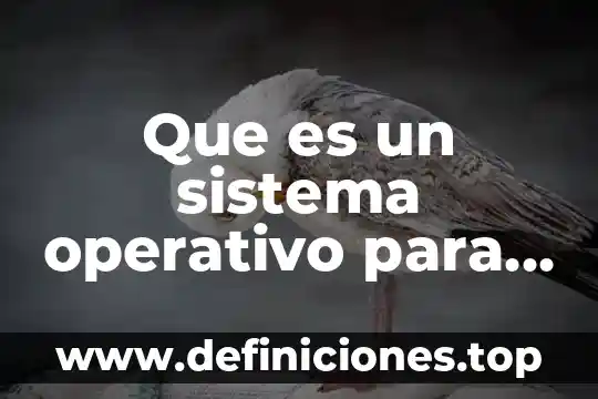 Que es un sistema operativo para computadora