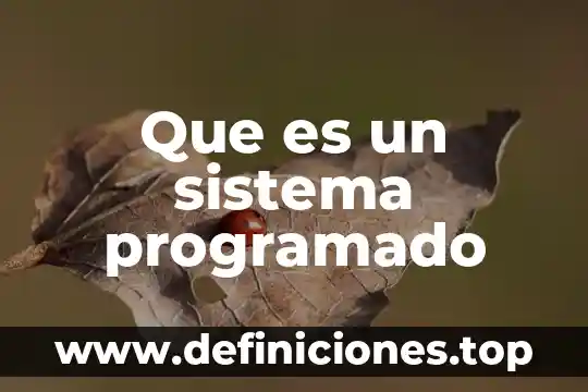 Que es la evaluacion del sistema 4 Que es un sistema programado