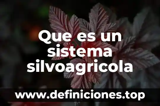 Que es un sistema silvoagricola