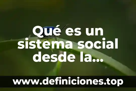 Que es un plan europeo 4 Qué es un sistema social desde la perspectiva estructura-funcionalista