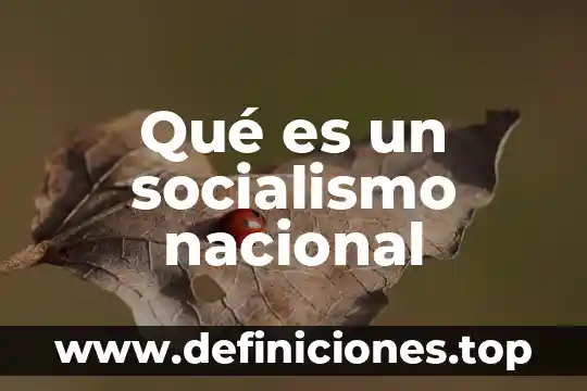 Qué es un socialismo nacional