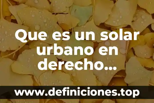 Que es la sucesion en derecho agrario 5 Que es un solar urbano en derecho agrario