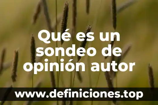 Infancia que es con autor 8 Qué es un sondeo de opinión autor