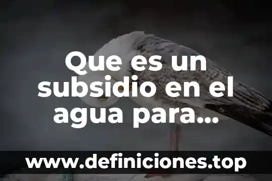 Que es una prueba en historia 7 Que es un subsidio en el agua para dictamen ejemplos