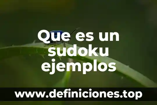 Que es un ciclo biogeoquimico ejemplos 8 Que es un sudoku ejemplos