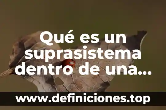 Que es la industria astillera 5 Qué es un suprasistema dentro de una industria