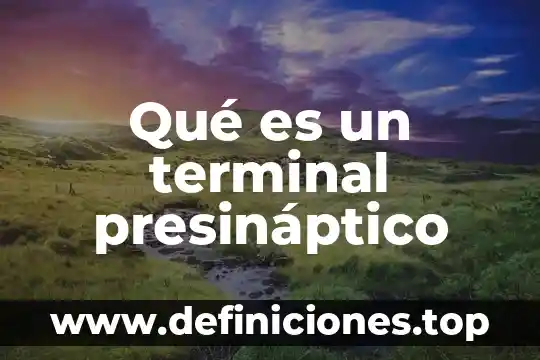 Qué es un terminal presináptico