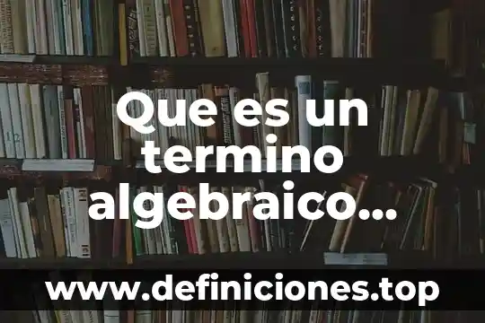 Que es un termino algebraico ejemplos