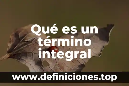 Que es un termino cemejante 5 Qué es un término integral