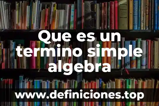 Que es un termino simple algebra