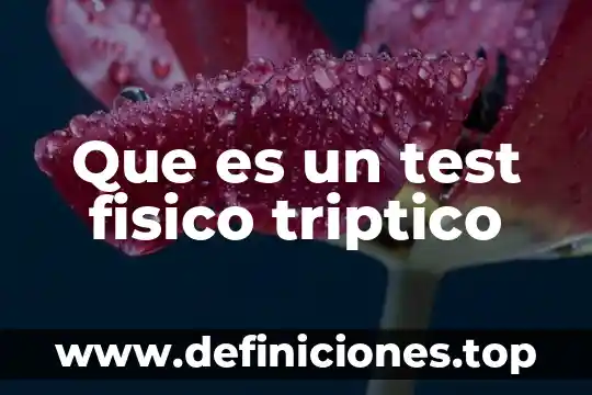 En tríptico que es la constitución en primaria 6 Que es un test fisico triptico