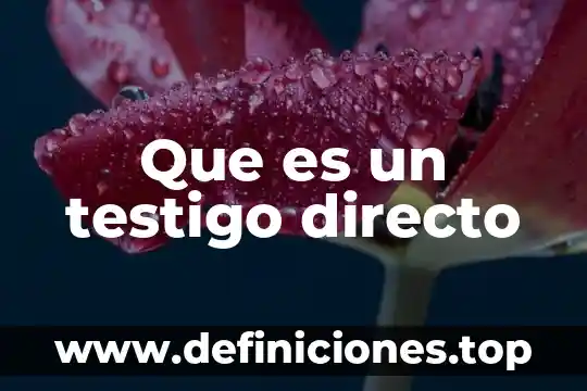 Que es un testigo directo