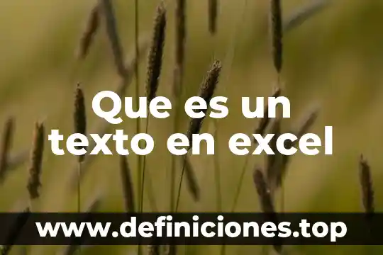 Que es un texto en excel