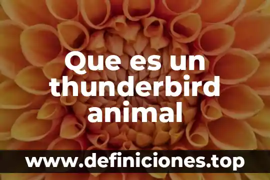 Que es un thunderbird animal