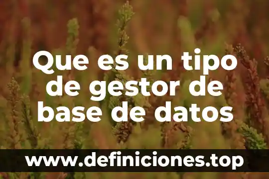 Que es un tipo de gestor de base de datos
