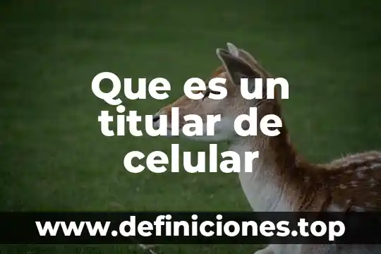 Titular de división de programas de enfermería que es 8 Que es un titular de celular